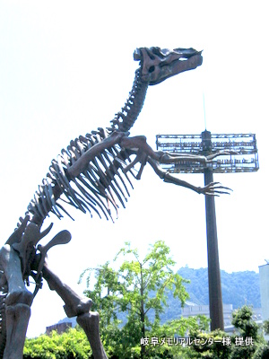 の全身骨格像あります。全長14.8ｍ高さ7.8ｍ幅4.8ｍ！昔の恐竜展の展示物でしょうか？ 幼児
