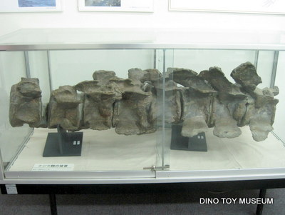 信州新町化石博物館