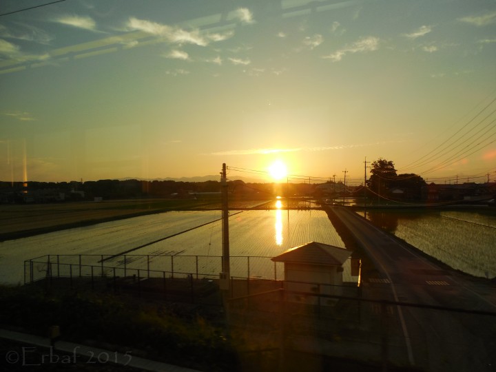 東海道本線の車窓の夕景