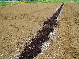 エダマメ　サッポロミドリ　栽培予定地　土作り　（１）