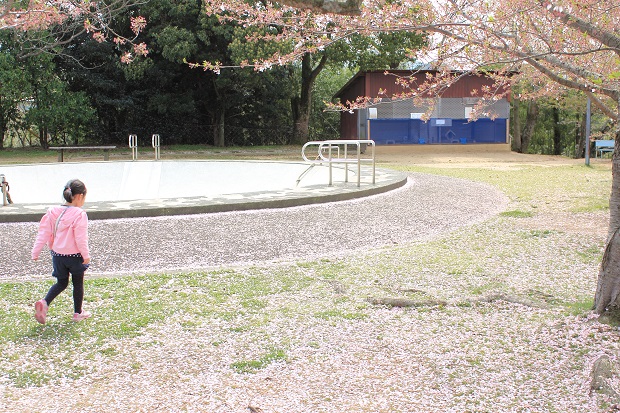 みろく公園　桜