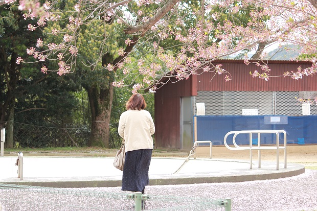 みろく公園　桜