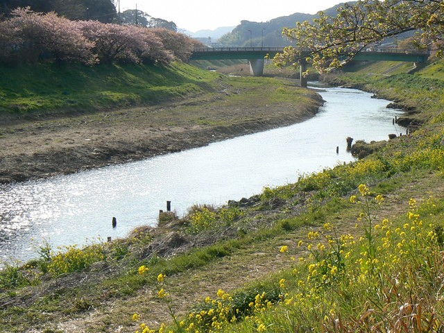 青野川１