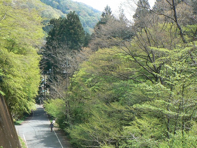 小仏峠への道１