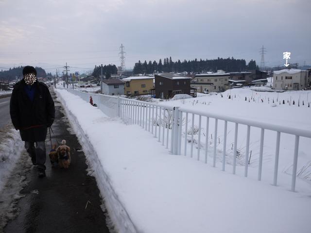 家の雪と歩道