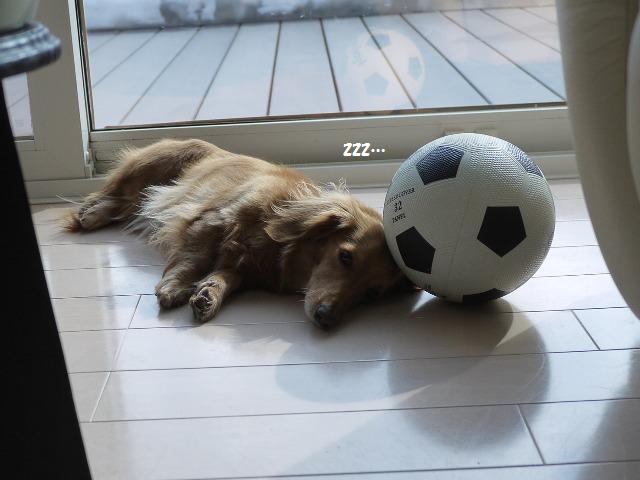 サッカーボールとお昼寝ラッピー