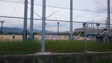 愛媛県高校ソフトボール