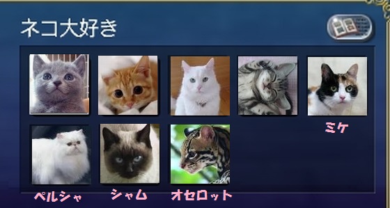 猫大好きアルバム4
